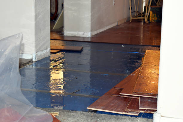 Professional Burst Pipe Cleanup technician working in Waddy, KY